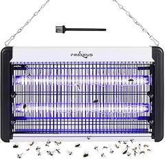 Alternativas a las lámparas antimosquitos para exteriores