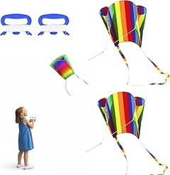 Instrucciones para volar una cometa correctamente