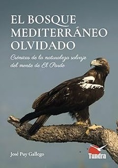 Problemas comunes al usar cuadernos de observación en familia