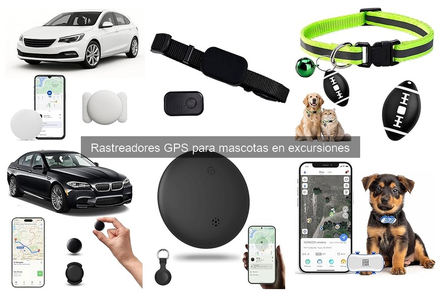 Alternativas a rastreadores GPS para mascotas en excursiones
