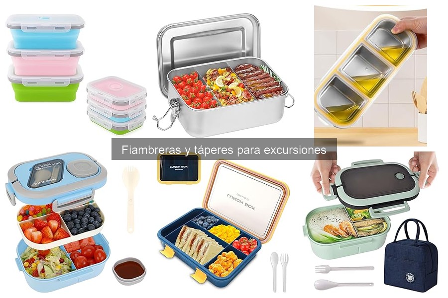 Beneficios de llevar fiambreras en excursiones familiares