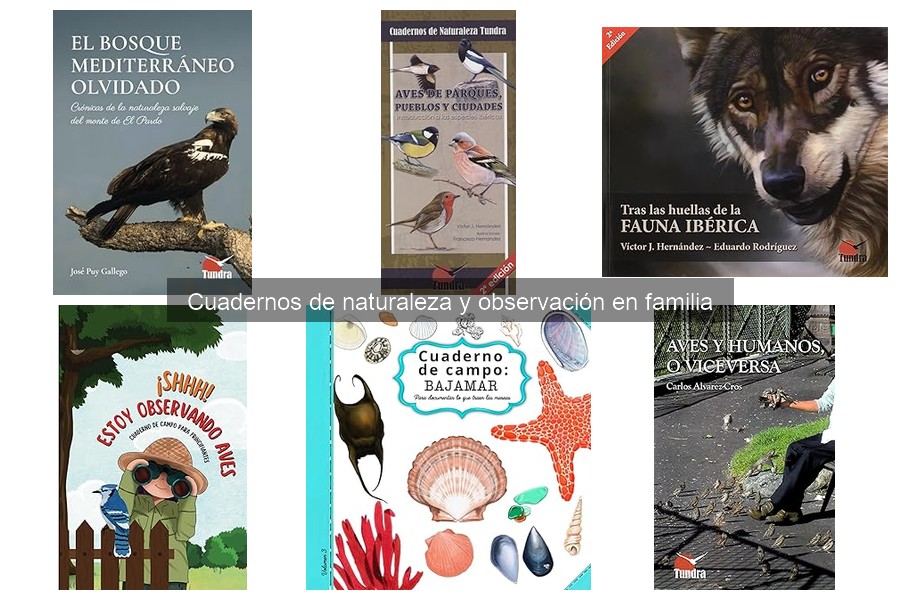 Beneficios de usar un cuaderno de observación en familia