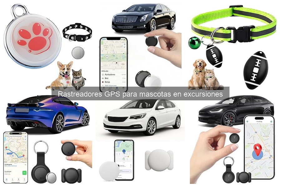 Cómo cuidar un rastreador GPS para mascotas en excursiones