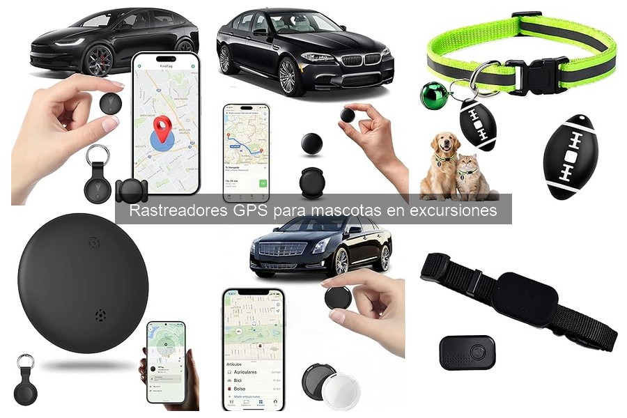 Cómo elegir un rastreador GPS adecuado para tu mascota