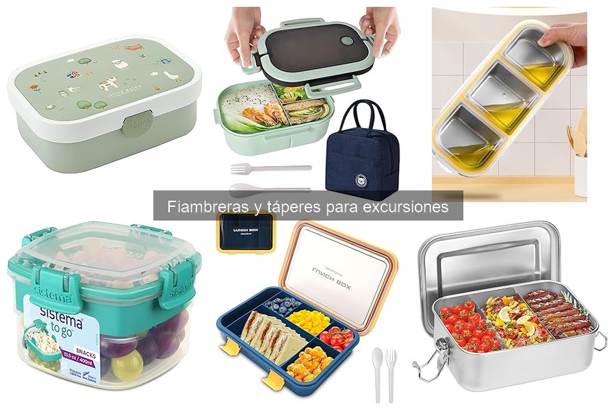 Cómo limpiar y mantener fiambreras para excursiones