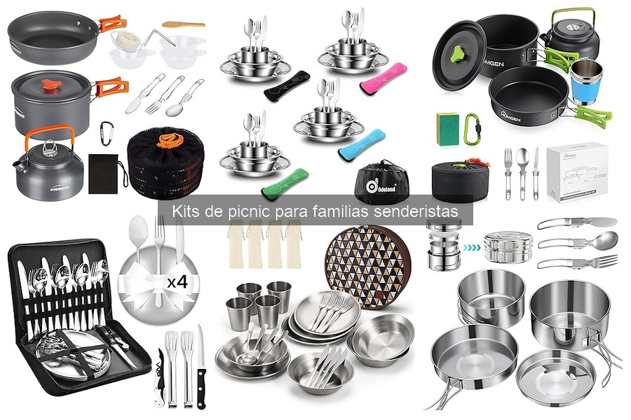 Consejos para Organizar un Picnic Familiar Perfecto