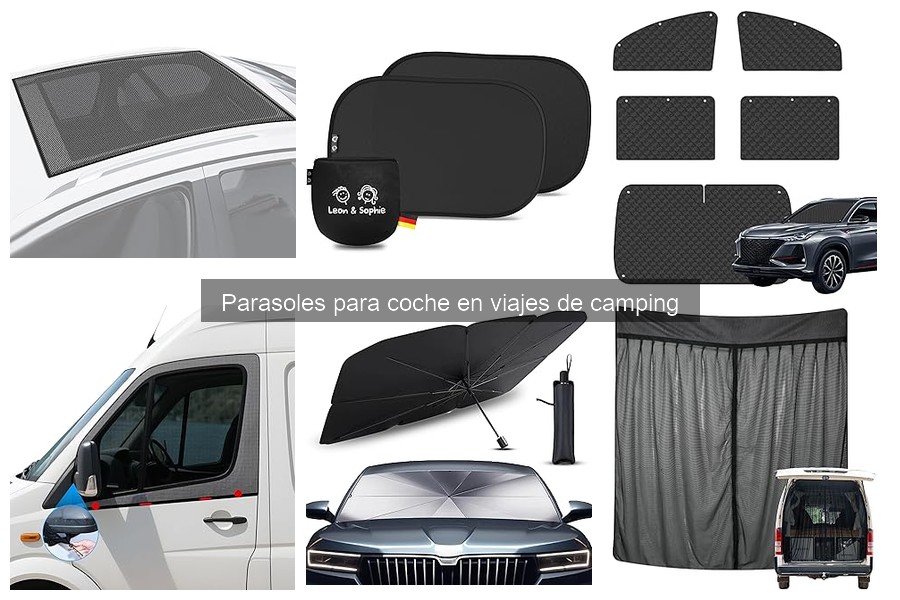 Efectividad de los parasoles para coche en climas cálidos