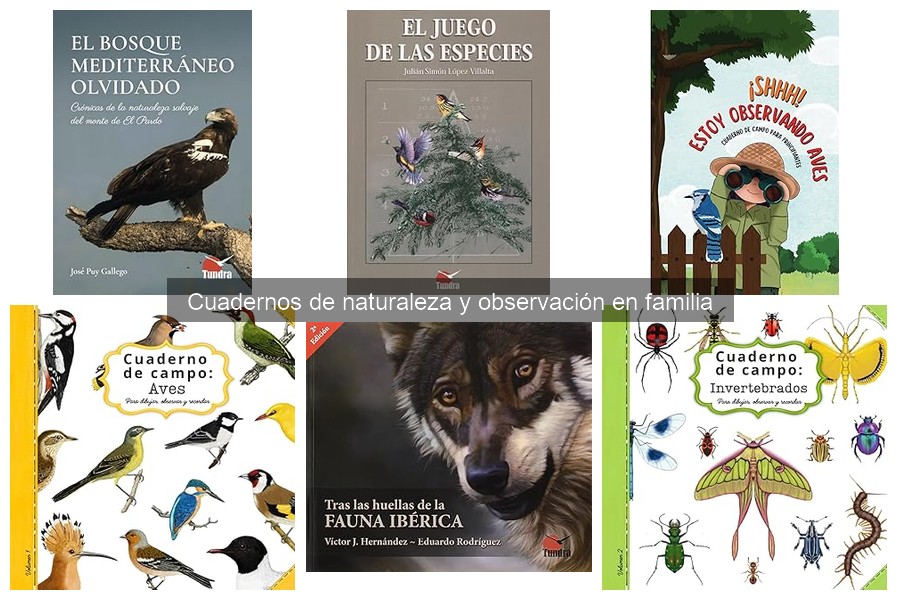 Errores comunes al usar cuadernos de observación familiar