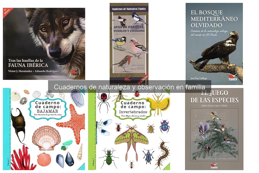 Guía para elegir el mejor cuaderno de naturaleza por edad