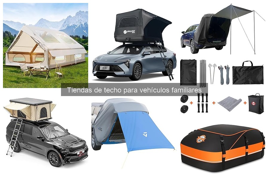 Guía para Elegir la Mejor Tienda de Techo Familiar