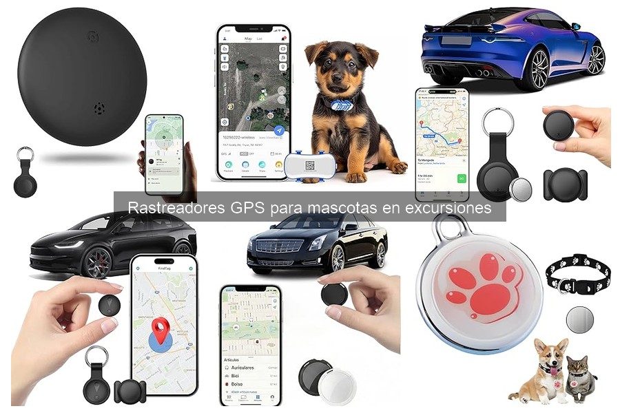Instalación de un Rastreadores GPS para Mascotas: Guía Práctica