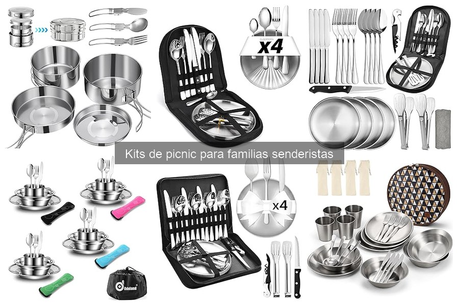 Problemas al Usar un Kit de Picnic y Cómo Solucionarlos