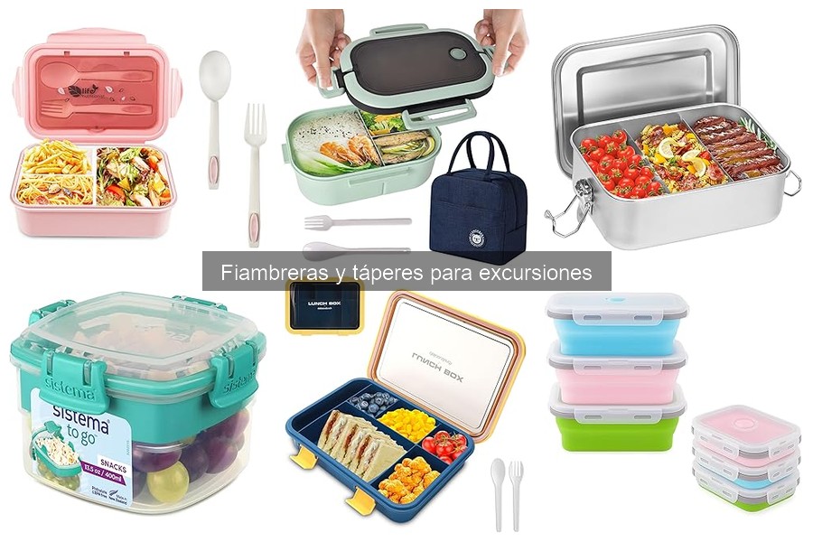 Problemas comunes al usar fiambreras en excursiones