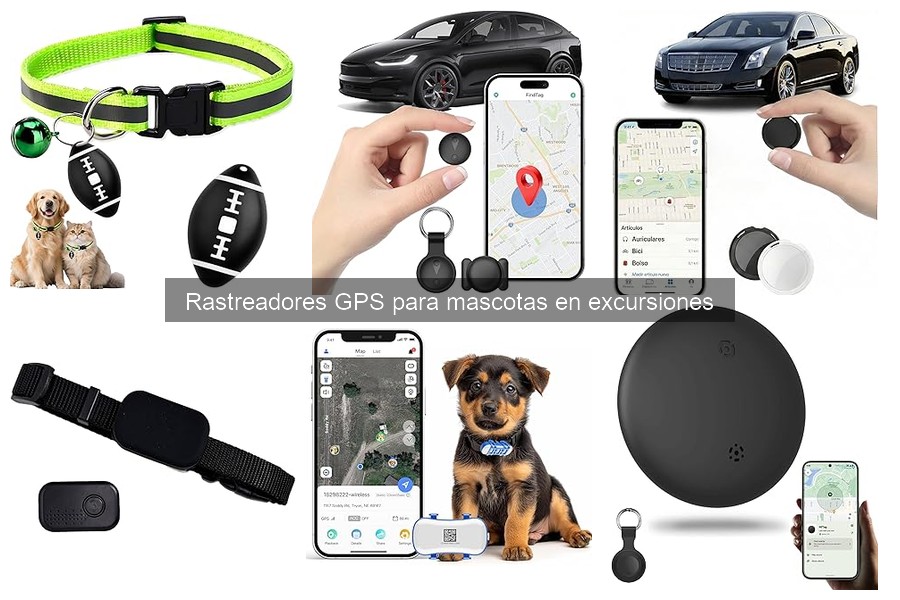 Problemas comunes con rastreadores GPS para mascotas y soluciones