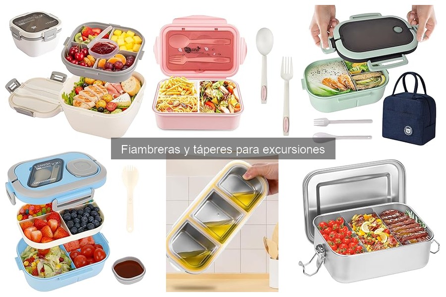 ** ¿Qué considerar al elegir fiambreras para niños?
