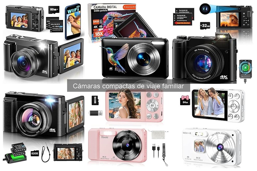 ¿Qué es una cámara compacta de viaje familiar?