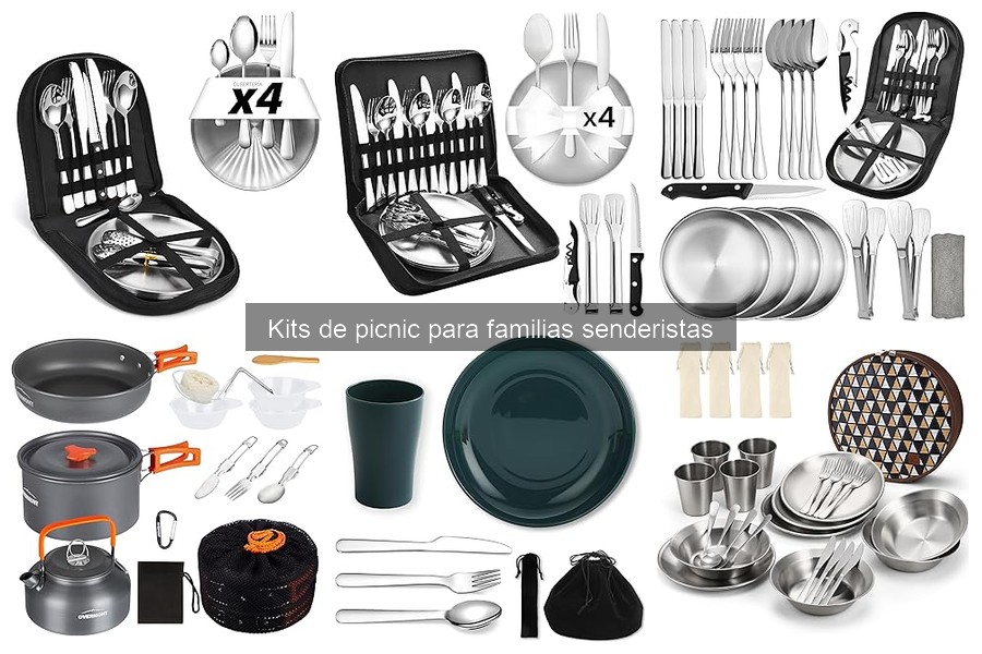 Tipos de Kits de Picnic para Cada Ocasión Familiar