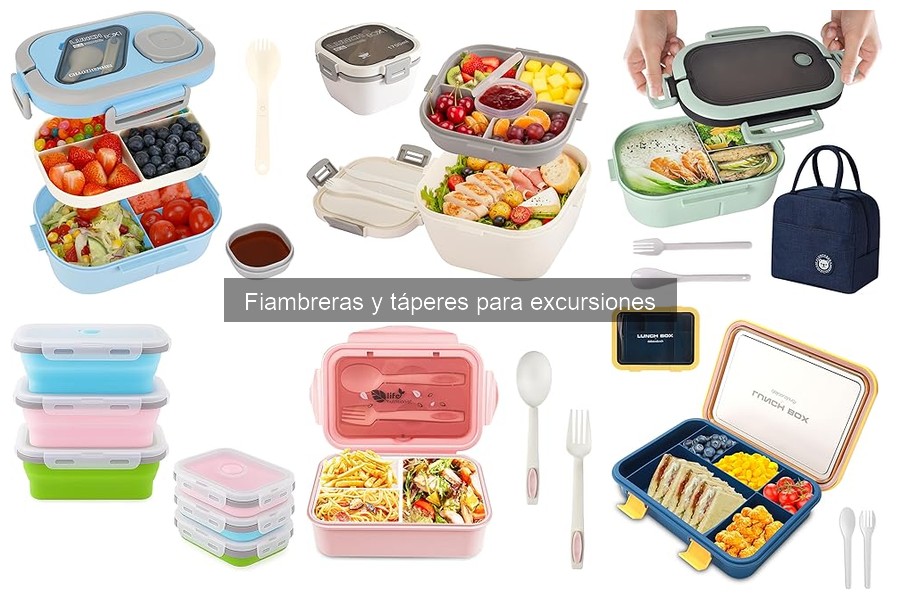 Tips para Organizar Comida en Fiambreras para Excursiones