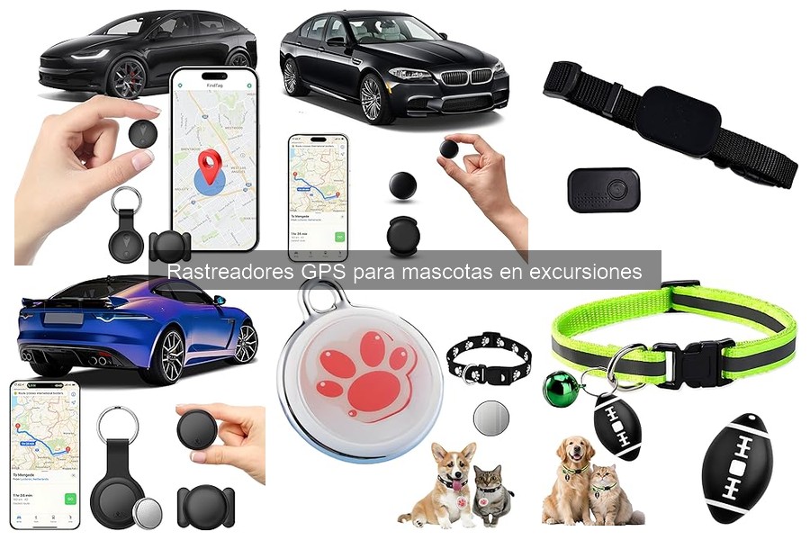 Ventajas de usar un rastreador GPS para mascotas en excursiones