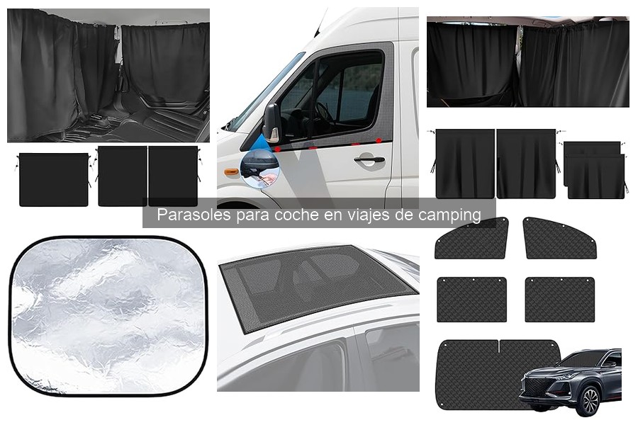 Ventajas y desventajas de usar parasoles para coche